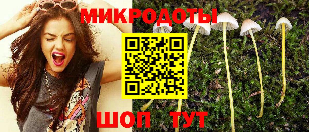 Галлюциногенные грибы GOLDEN TEACHER Новосибирск