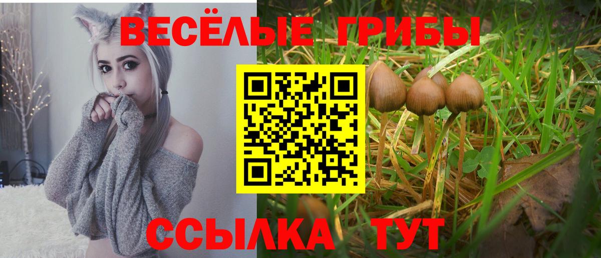 Псилоцибиновые грибы MAGIC MUSHROOMS  Вход с VPN  Новосибирск  Псилоцибиновые грибы Cubensis 